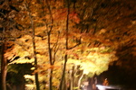 DSC00015.JPG